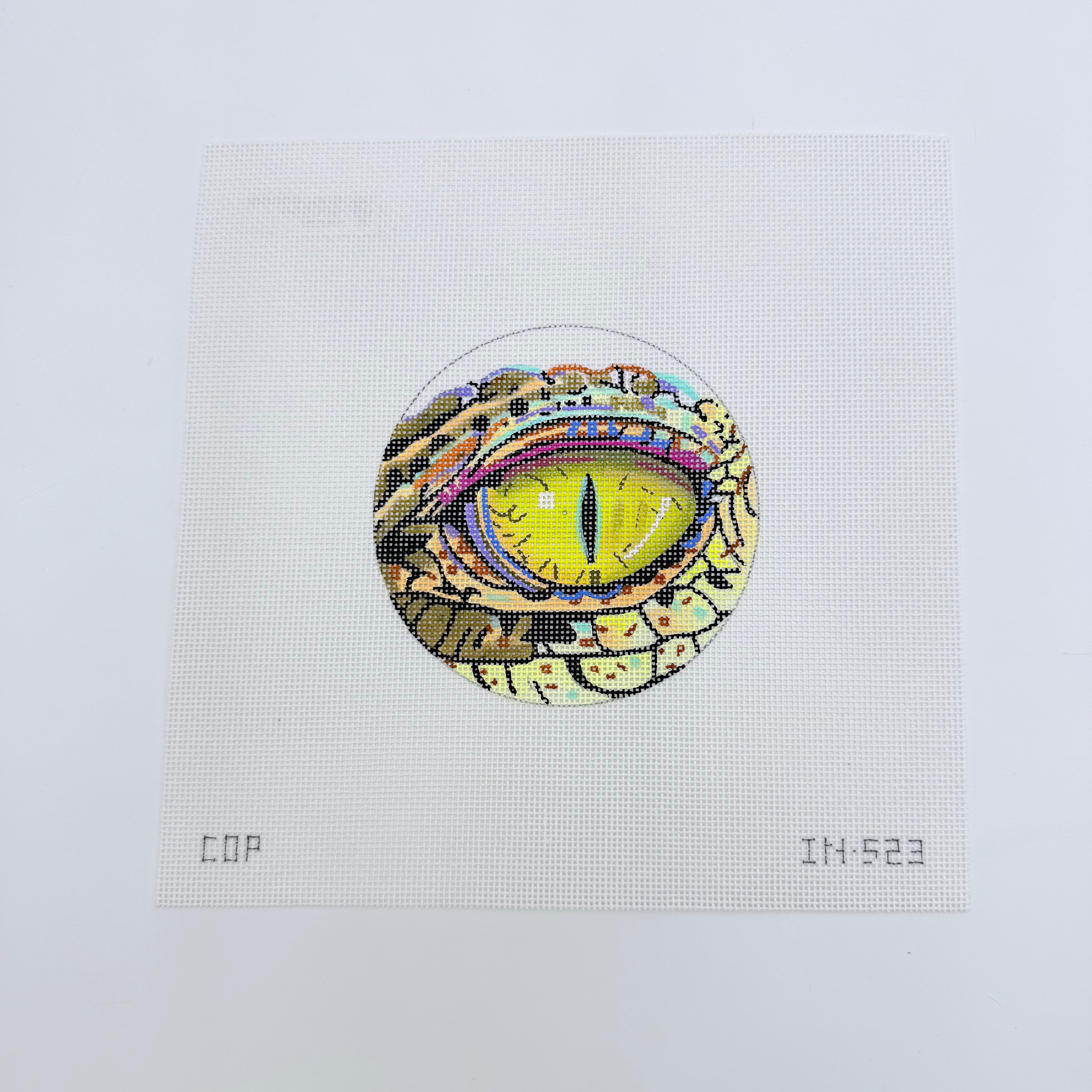 Reptile Eye Canvas - KC Needlepoint