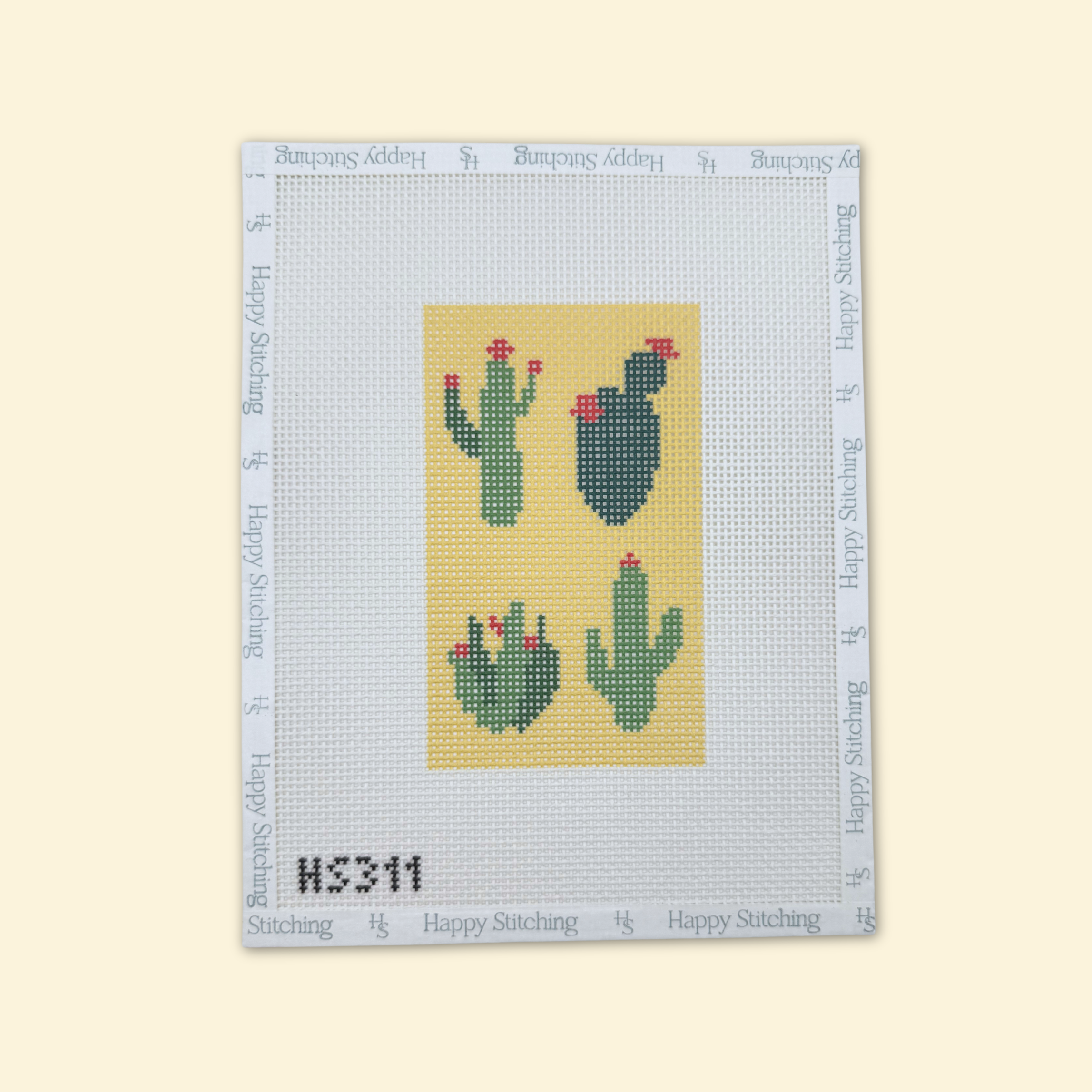Looking Sharp Eyeglass Case Kit - KC Needlepoint
