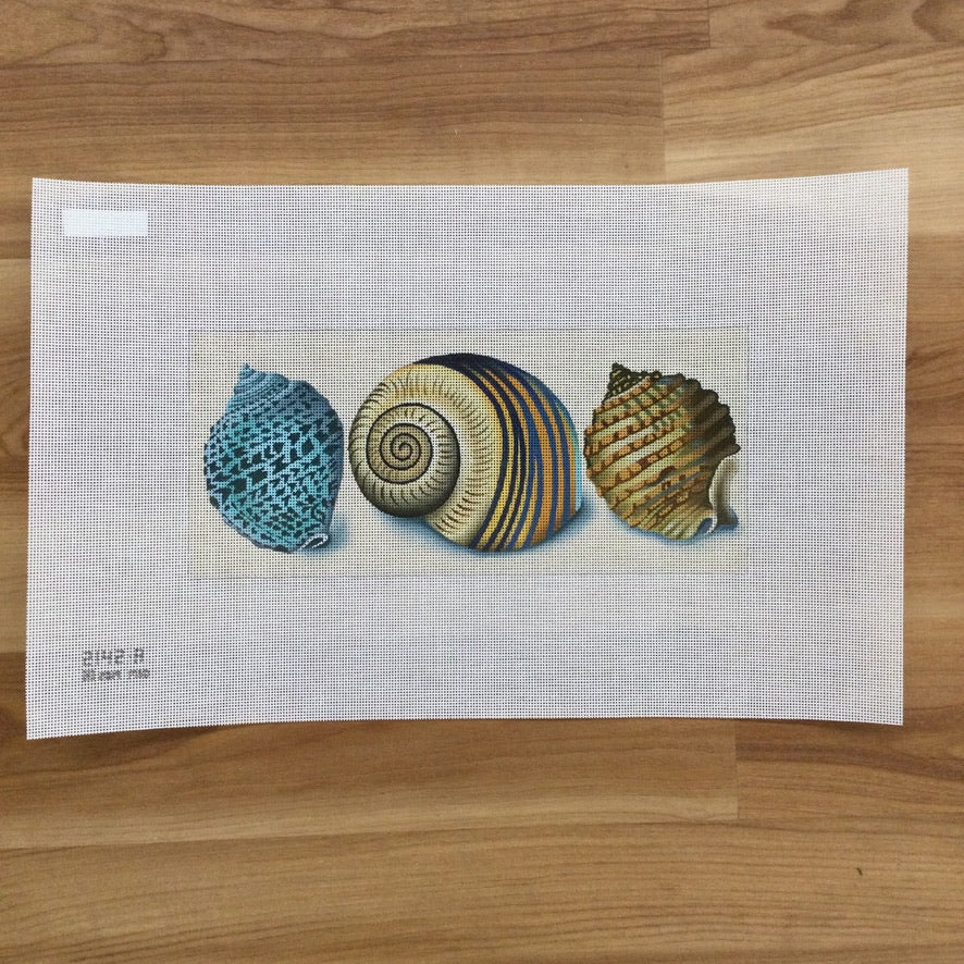 Shells Canvas - needlepoint