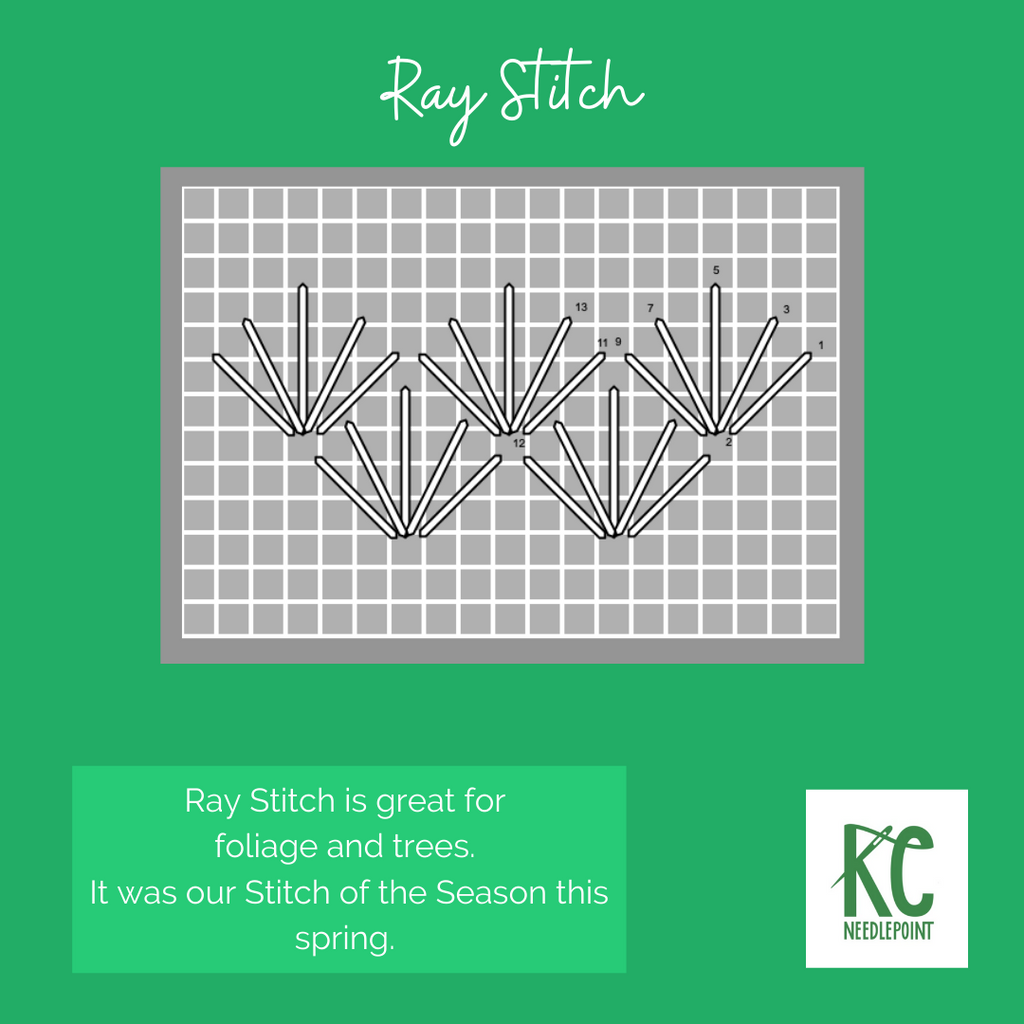 Ray Stitch
