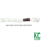 DMC 5 Pearl Cotton 3865 Winter White - KC Needlepoint