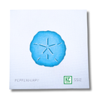 Turquoise Sand Dollar Canvas - KC Needlepoint