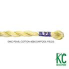 DMC 5 Pearl Cotton 4080 Daffodil Fields - KC Needlepoint