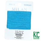 Milan Card 2692 Boogie Board - KC Needlepoint