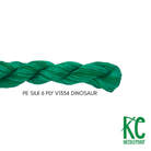 Planet Earth 6 Ply Variegated V1334 Dinosaur - KC Needlepoint