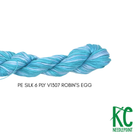 Planet Earth 6 Ply Variegated V1307 Robin's Egg - KC Needlepoint