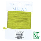 Milan Card 2827 Swamp - KC Needlepoint