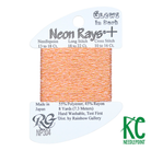 Neon Rays+ NP304 Glow in the Dark Orange - KC Needlepoint