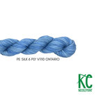 Planet Earth 6 Ply Variegated V1110 Ontario - KC Needlepoint