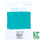 Milan Card 2812 Parrot - KC Needlepoint