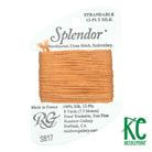 Splendor S817 Pumpkin - KC Needlepoint