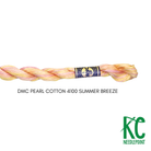 DMC 5 Pearl Cotton 4100 Summer Breeze - KC Needlepoint