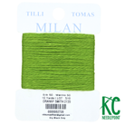 Milan Card 2720 Granny Smith - KC Needlepoint