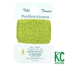 Reflections Card 918 Surpentine - KC Needlepoint