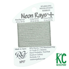 Neon Rays+ NP97 Granite - KC Needlepoint