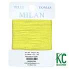 Milan Card 2582 Moonshine - KC Needlepoint