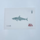 Shark Canvas - KC Needlepoint