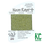Neon Rays+ NP86 Avocado - KC Needlepoint