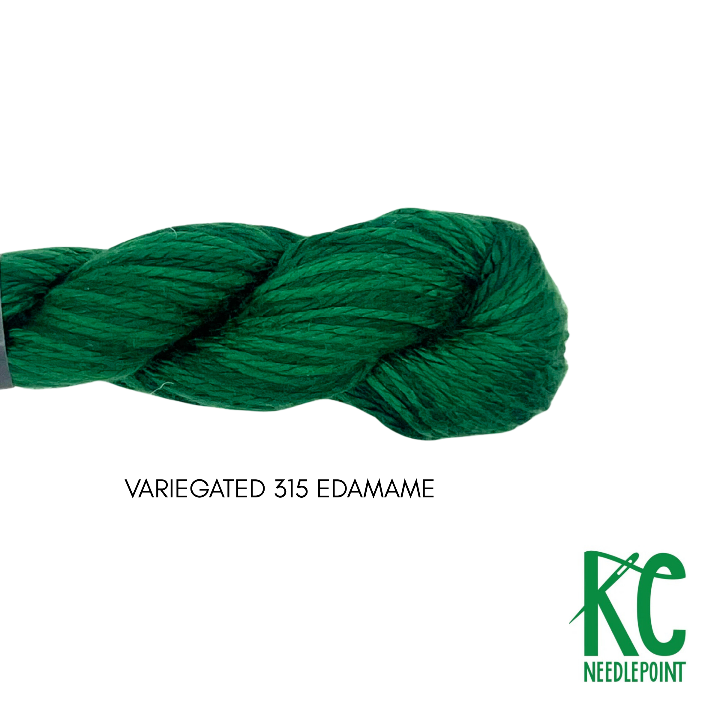 Pepper Pot Silk Variegated Skein 315 Edamame - KC Needlepoint