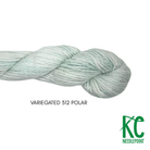 Pepper Pot Silk Variegated Skein 312 Polar - KC Needlepoint