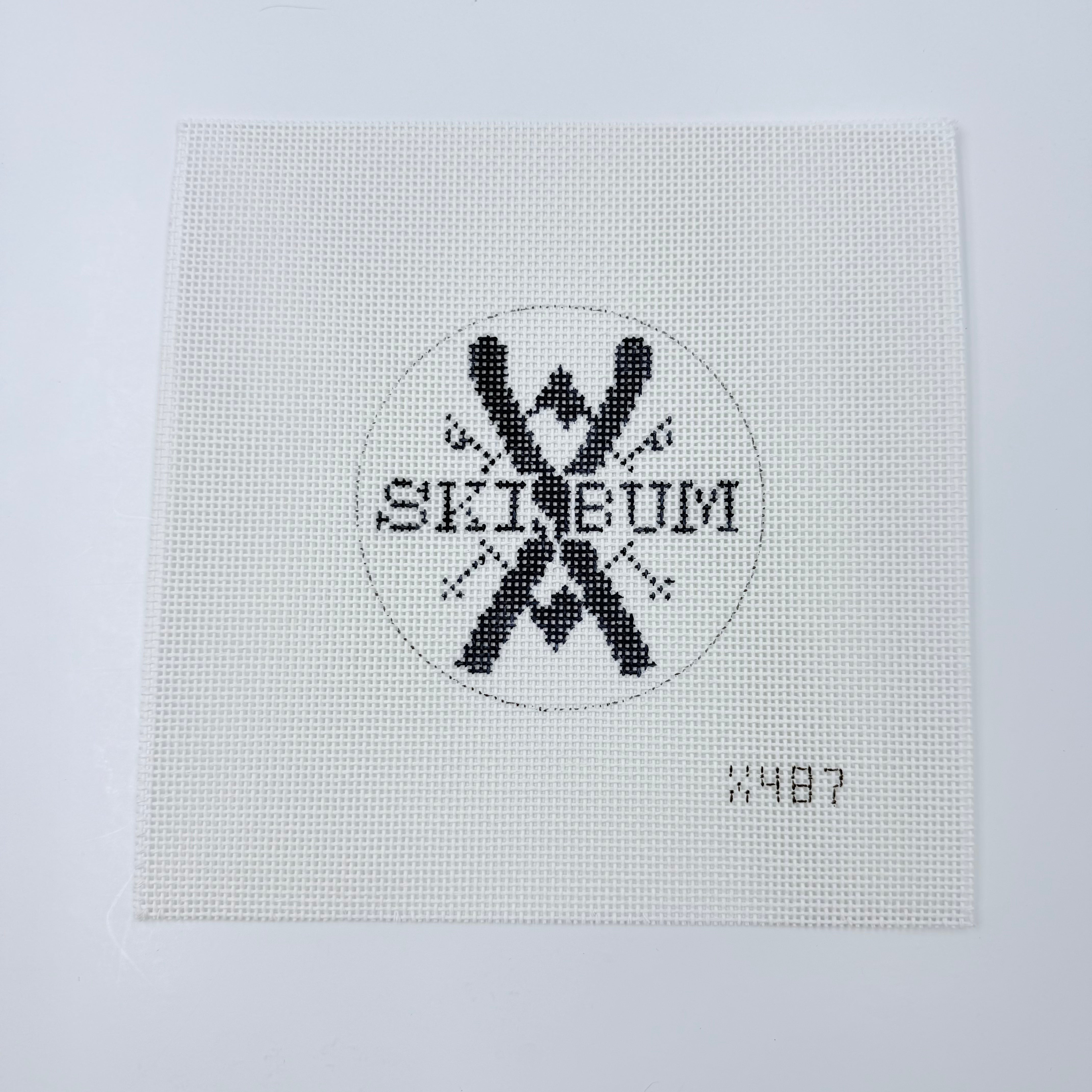 Ski Bum Canvas - KC Needlepoint