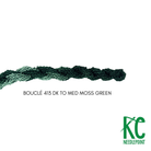 Bouclé 413 Dk to Med Moss Green - KC Needlepoint