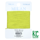 Milan Card 2825 Slime - KC Needlepoint