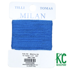 Milan Card 2698 Swell - KC Needlepoint