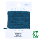 Milan Card 2795 Nor'Easter - KC Needlepoint
