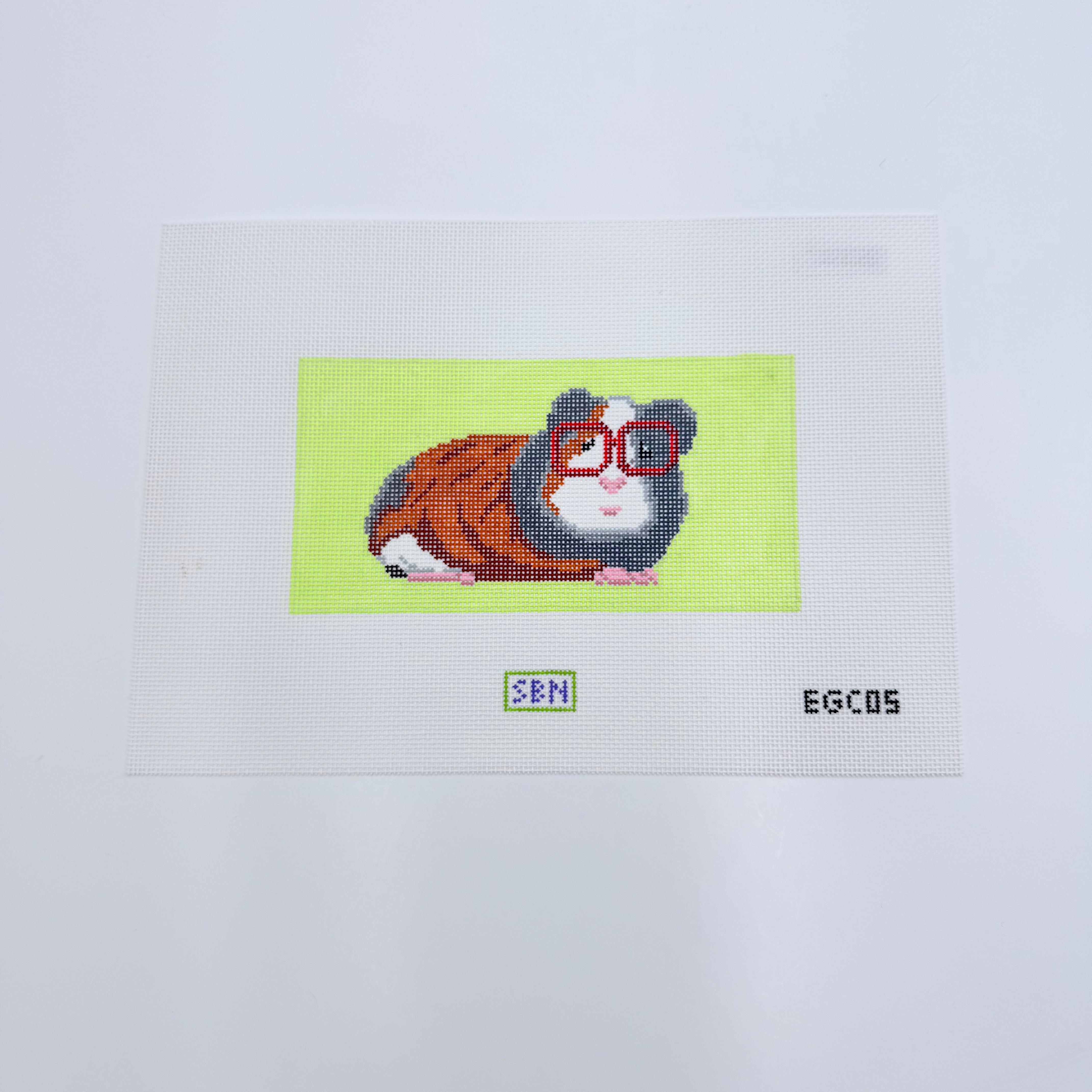 Guinea Pig with Glasses Eyeglass Case Canvas - KC Needlepoint