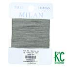 Milan Card 2512 Shark - KC Needlepoint
