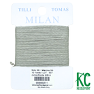 Milan Card 2511 Dolphin - KC Needlepoint