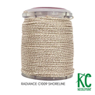 Radiance Classic 13 C1009 Shoreline - KC Needlepoint