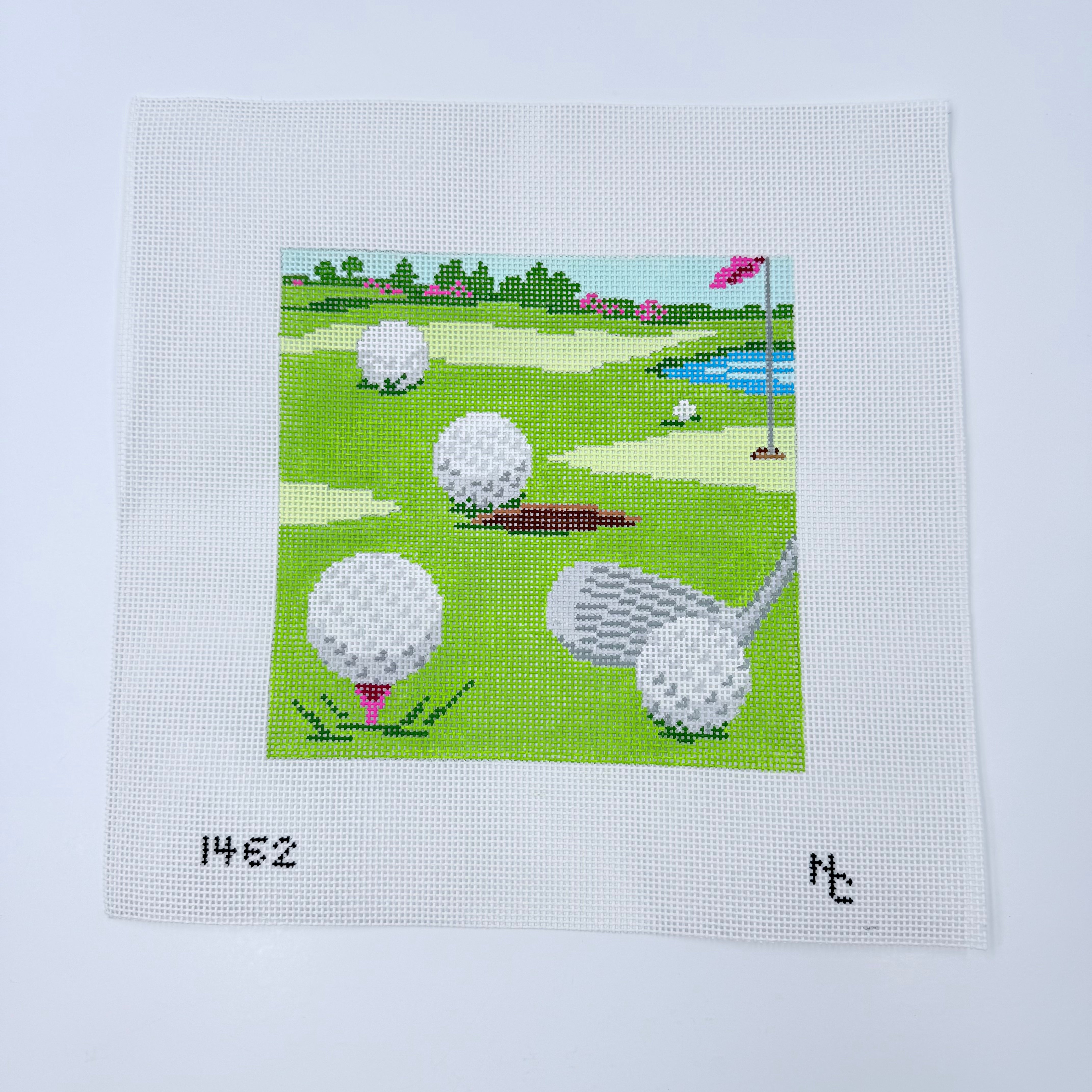 Golf Course Eyeglass Case Canvas - KC Needlepoint