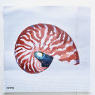 Nautilus Needlepoint Canvas - KC Needlepoint