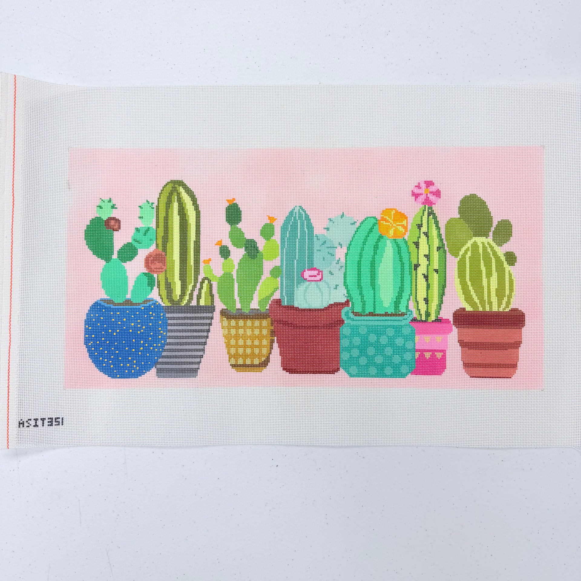 Cactus Canvas – KC Needlepoint