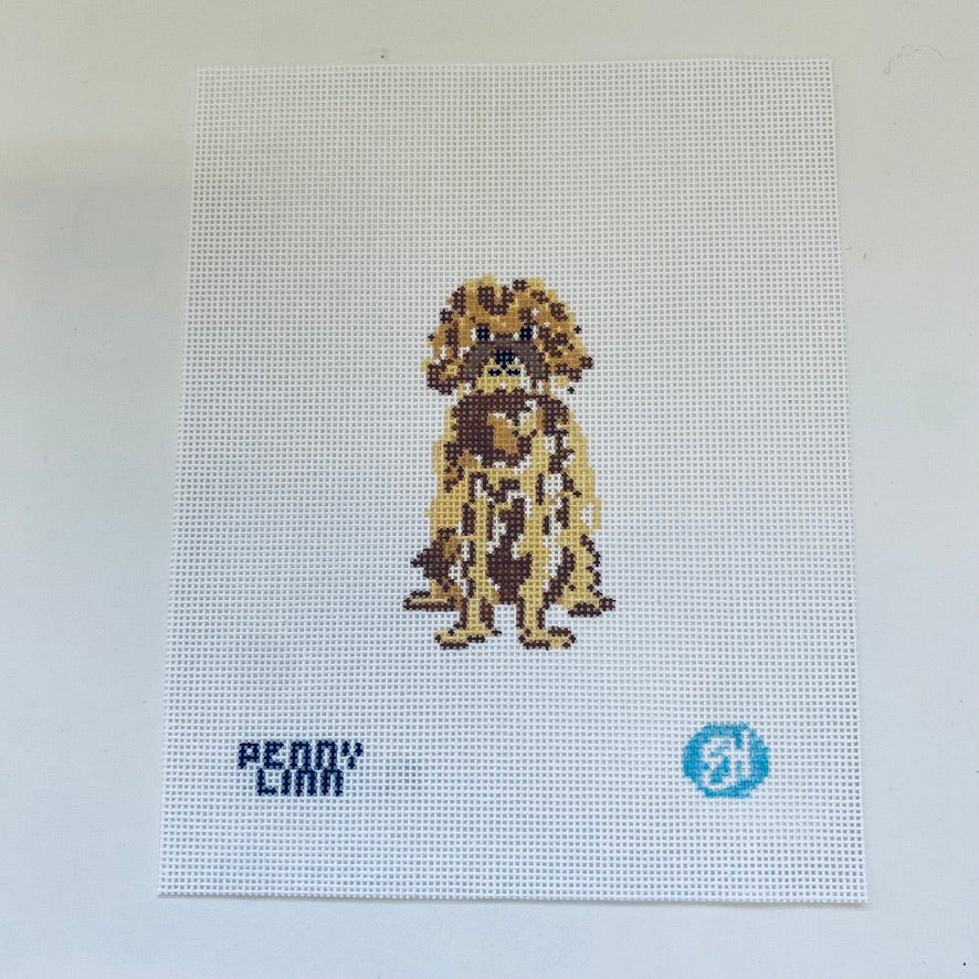 Toy Poodle Canvas - KC Needlepoint