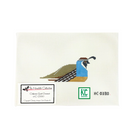 California Quail Canvas - KC Needlepoint