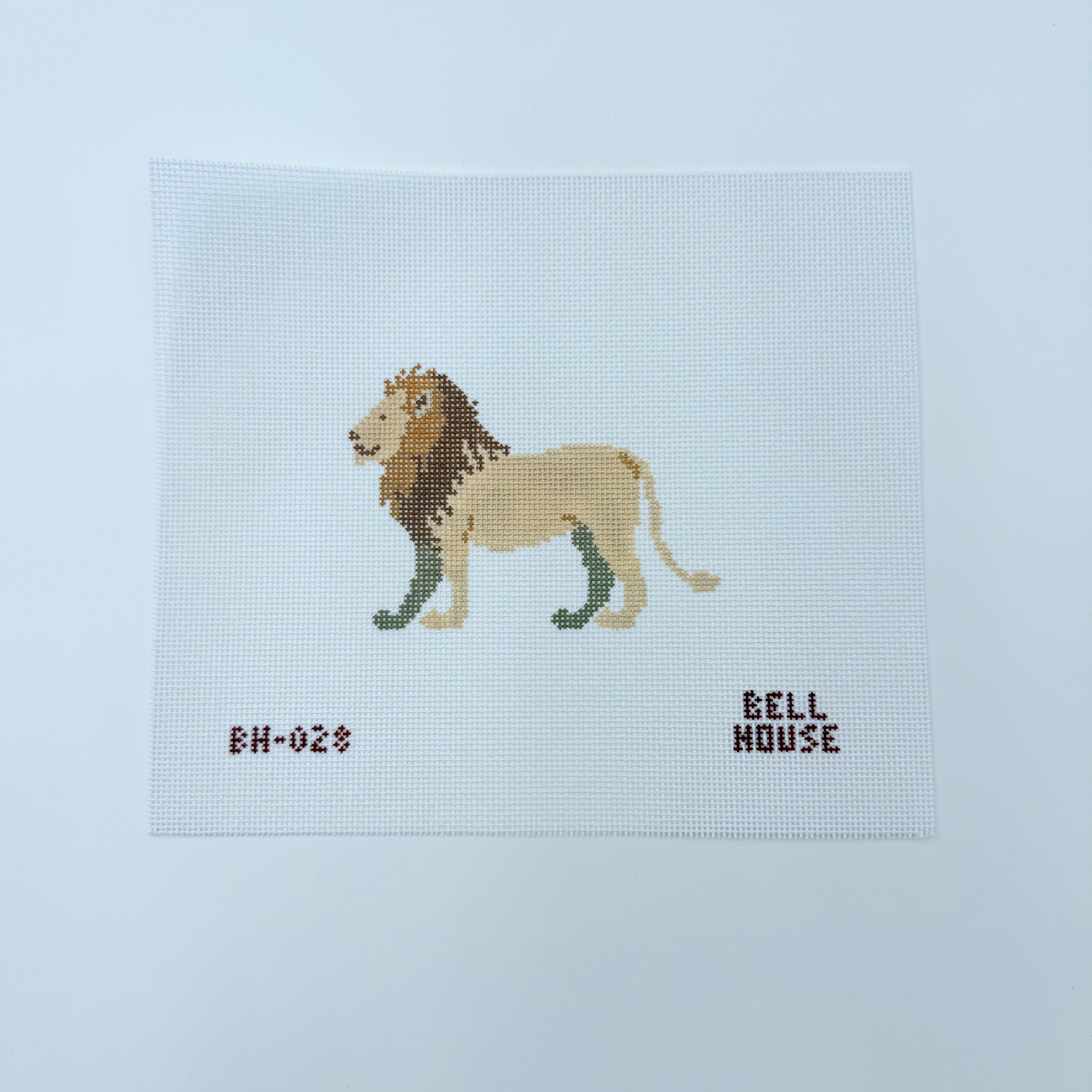 Lion Canvas - KC Needlepoint