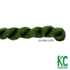 Essentials Skein S709 Iquana - KC Needlepoint