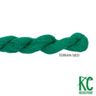 Essentials Skein S821 Terrain - KC Needlepoint