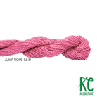 Essentials Skein S841 Jump Rope - KC Needlepoint