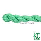 Milan Skein 1736 Pasture - KC Needlepoint