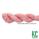 Milan Skein 1839 Skippity-Doo-Da - KC Needlepoint