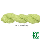 Milan Skein 1824 Atomic - KC Needlepoint