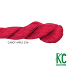 Pepper Pot Silk Skein 224 Candy Apple - KC Needlepoint