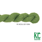 Planet Earth Merino Wool 057 Fern - KC Needlepoint