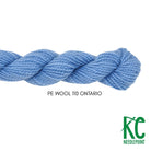 Planet Earth Merino Wool 110 Ontario - KC Needlepoint