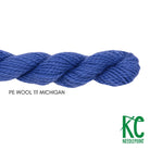 Planet Earth Merino Wool 111 Michigan - KC Needlepoint