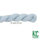Planet Earth Merino Wool 197 Sky - KC Needlepoint